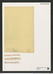 Stephanodiscus niagarae Ehr. (de-Toni-Nr.: Genus 189, Species 4688) Zeichnungen Sammlung Grunow (NHMW-BOT-W0377738)